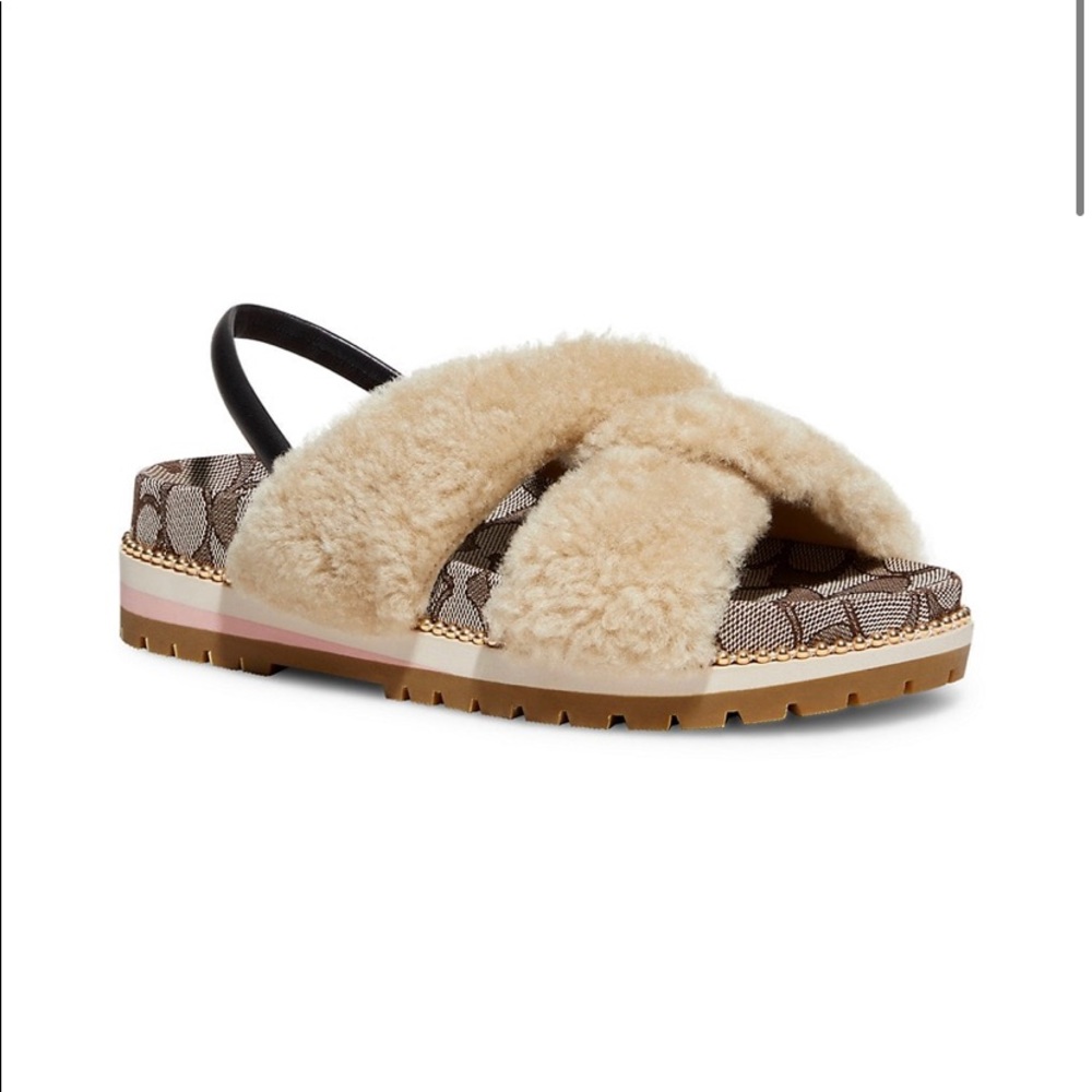 (10W) NWT Coach Talley Sherling Sandal!